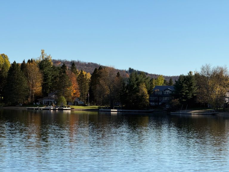 A Kawartha lake shoreline