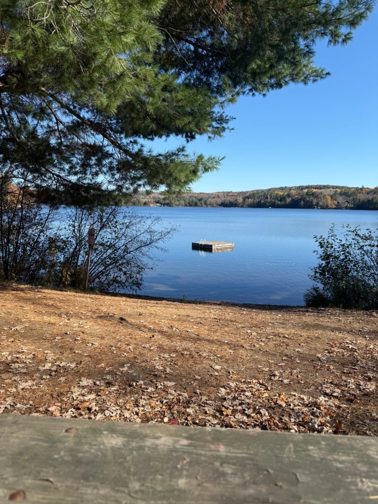 Kawartha lake view